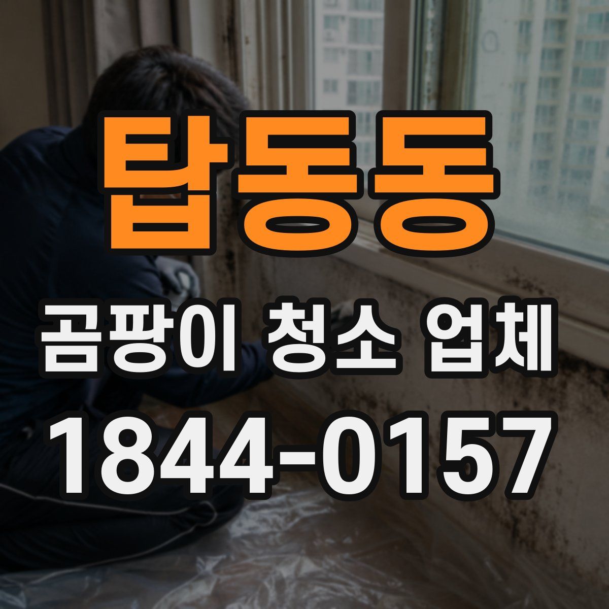 탑동동 곰팡이 청소 업체