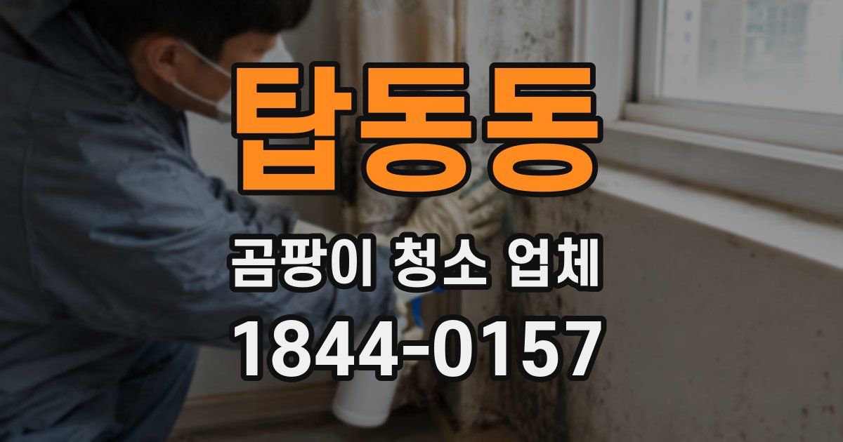 탑동동 곰팡이 청소 업체
