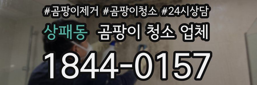 상패동 곰팡이 청소 업체