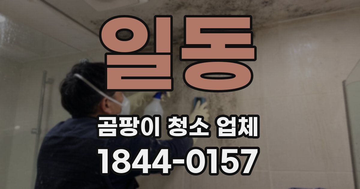 일동 곰팡이 청소 업체