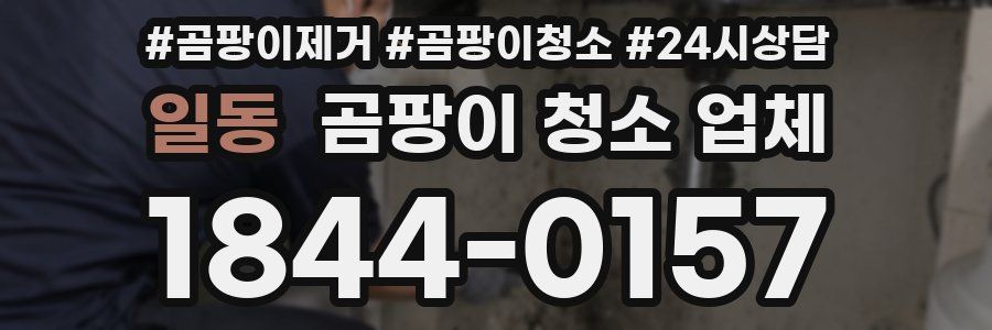 일동 곰팡이 청소 업체