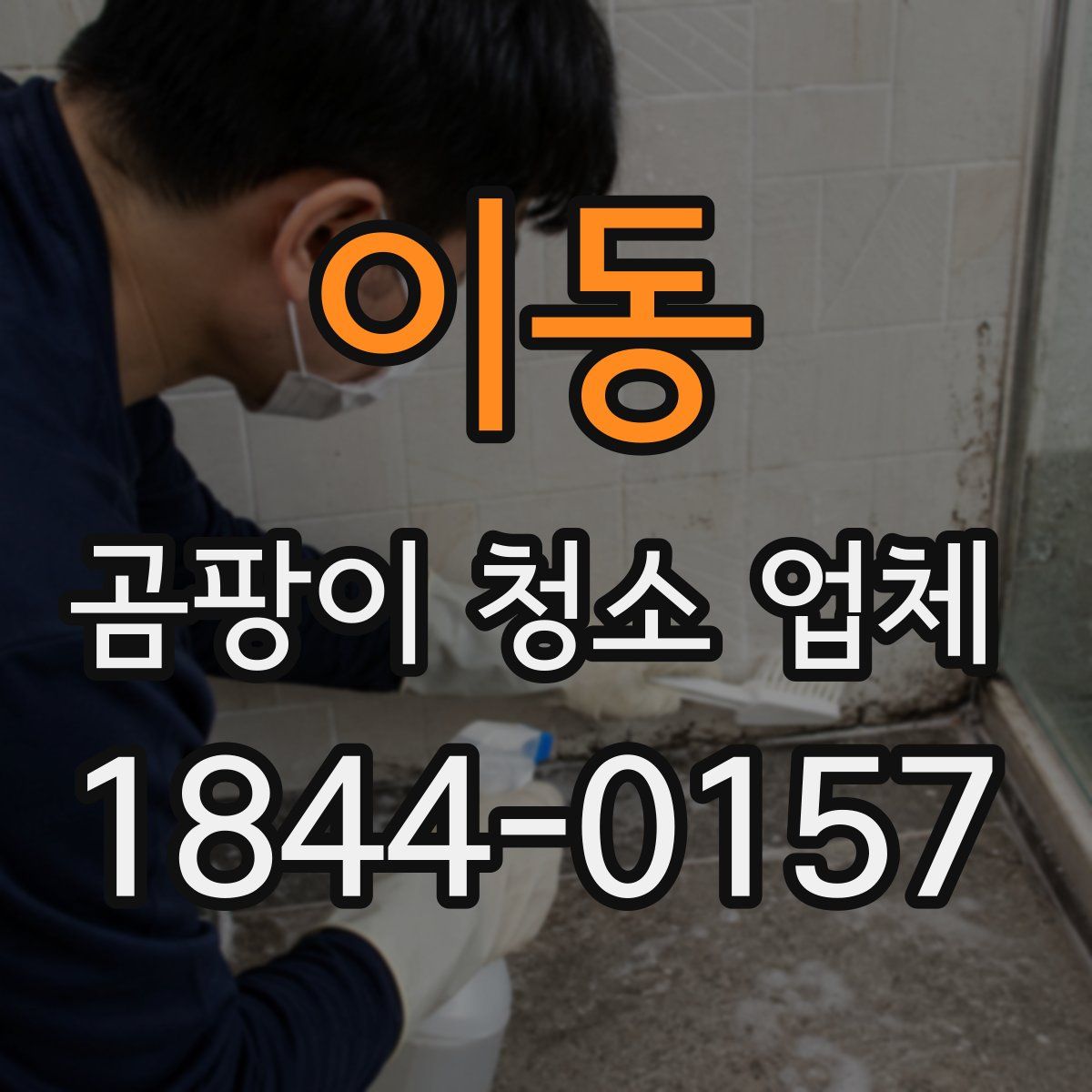 이동 곰팡이 청소 업체