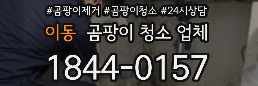 이동 곰팡이 청소 업체
