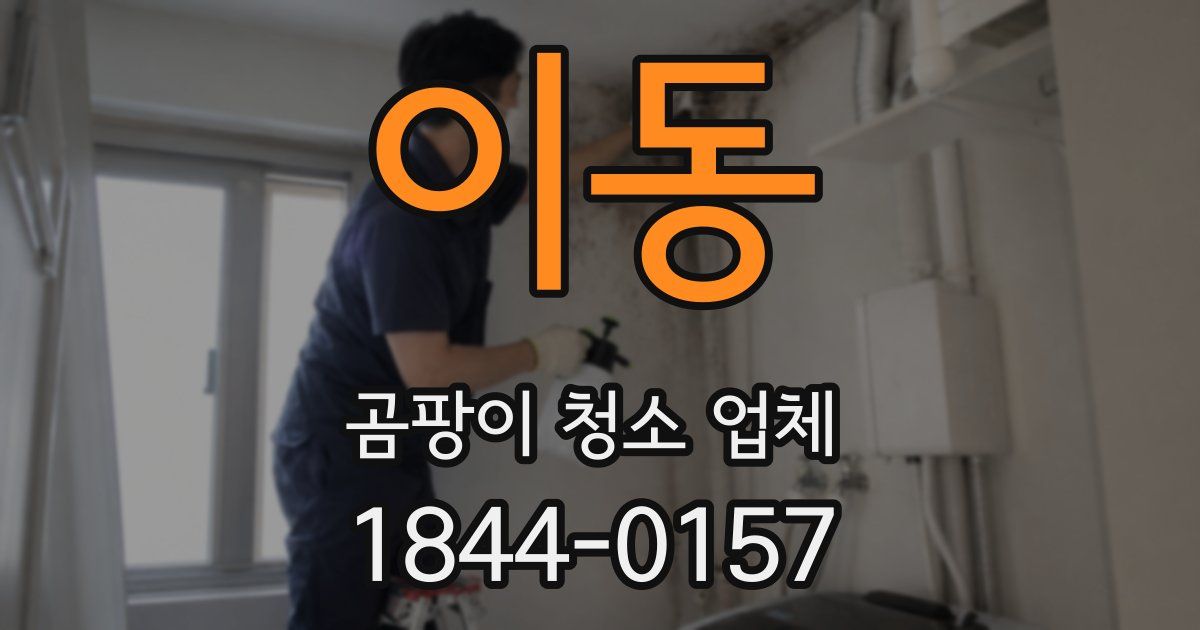 이동 곰팡이 청소 업체