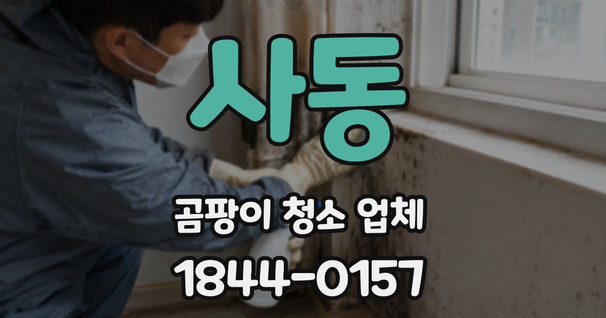 사동 곰팡이 청소 업체