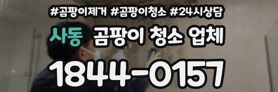 사동 곰팡이 청소 업체