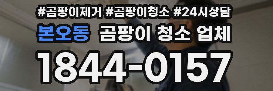 본오동 곰팡이 청소 업체