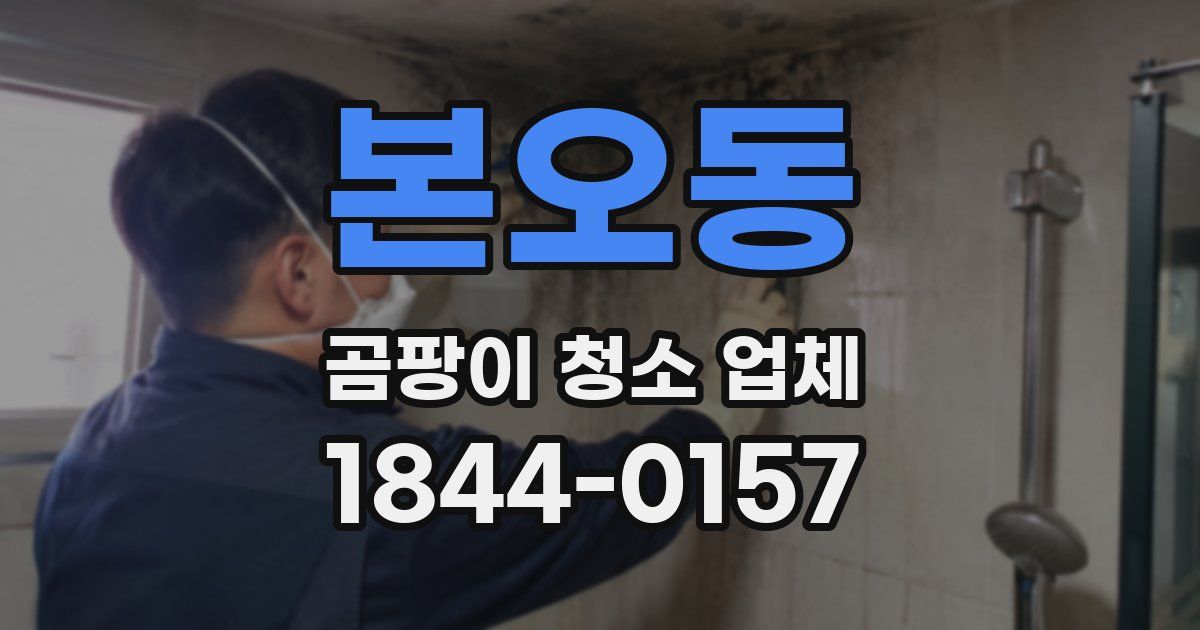 본오동 곰팡이 청소 업체