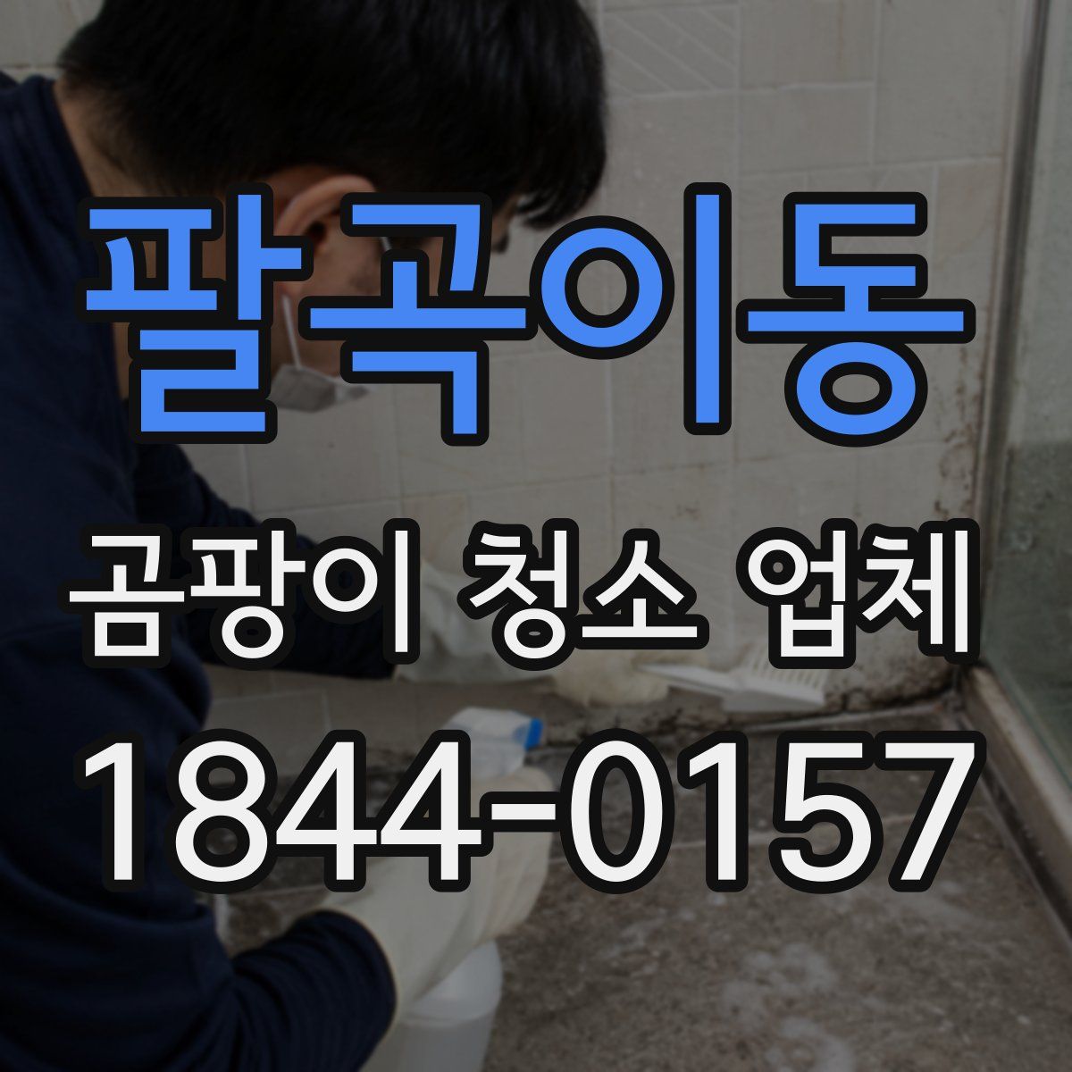 팔곡이동 곰팡이 청소 업체