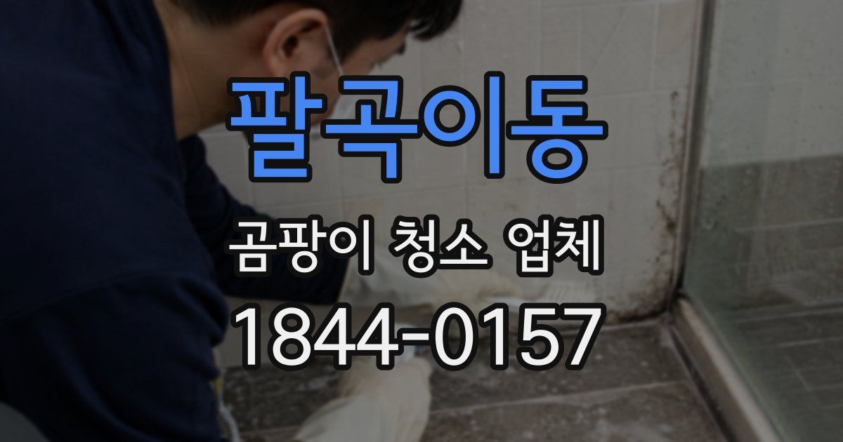 팔곡이동 곰팡이 청소 업체