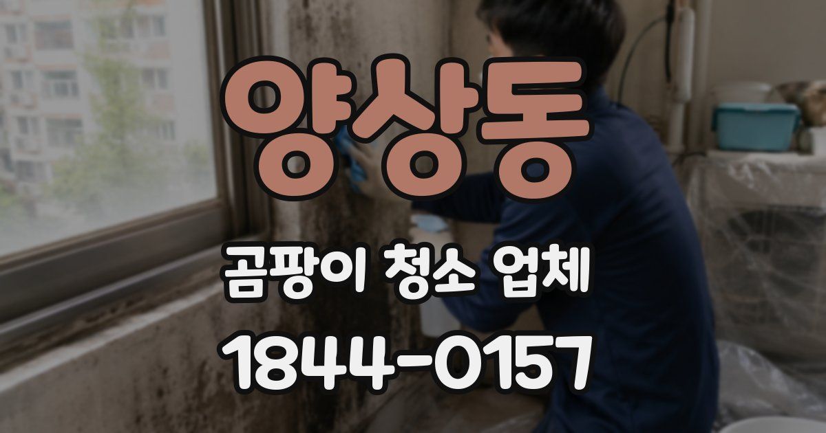 양상동 곰팡이 청소 업체