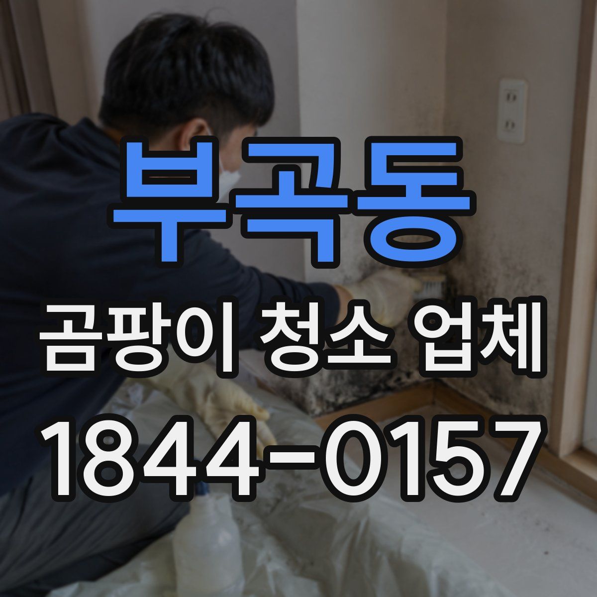 부곡동 곰팡이 청소 업체