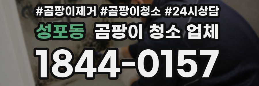 성포동 곰팡이 청소 업체