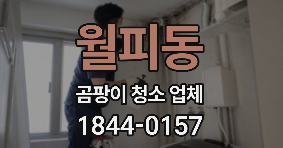 월피동 곰팡이 청소 업체