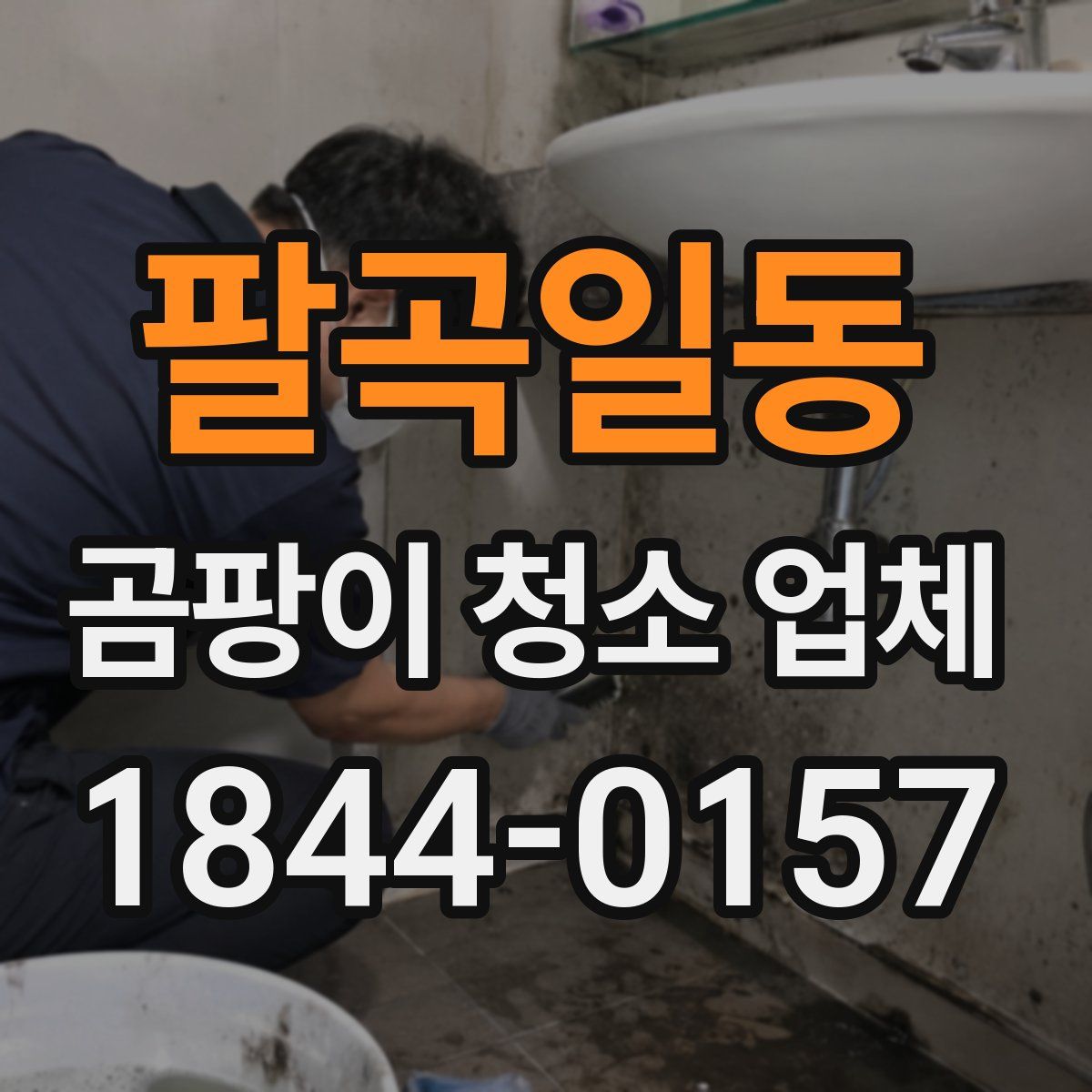 팔곡일동 곰팡이 청소 업체