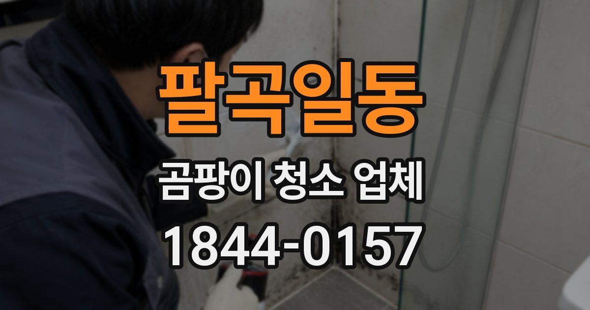 팔곡일동 곰팡이 청소 업체