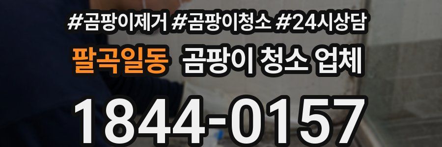 팔곡일동 곰팡이 청소 업체