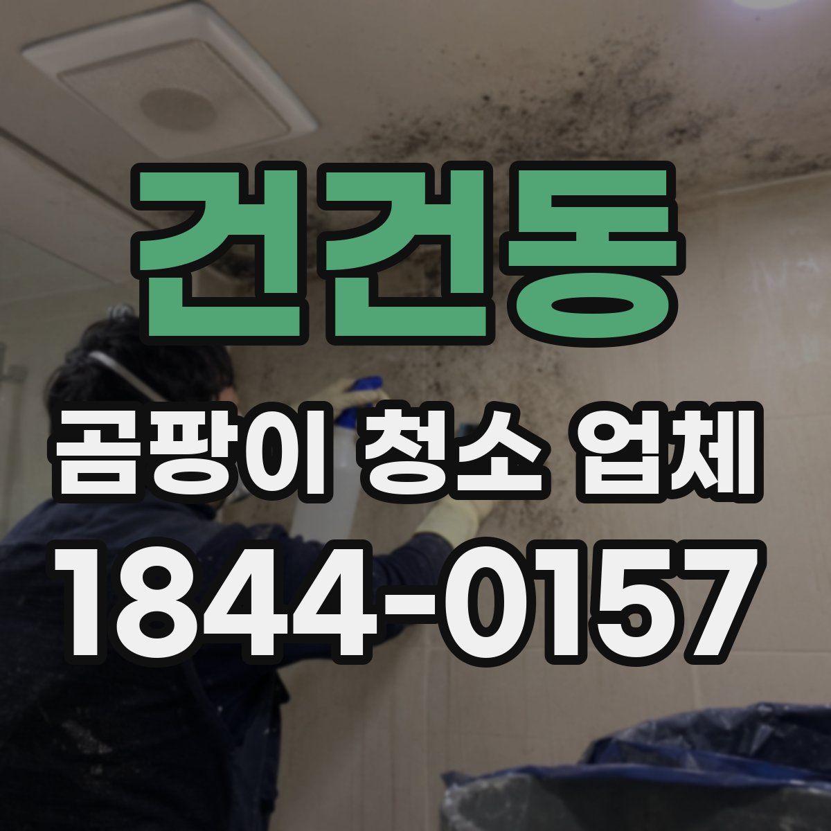 건건동 곰팡이 청소 업체