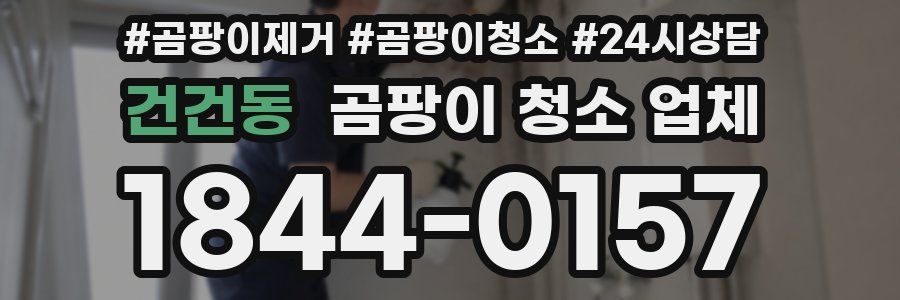 건건동 곰팡이 청소 업체