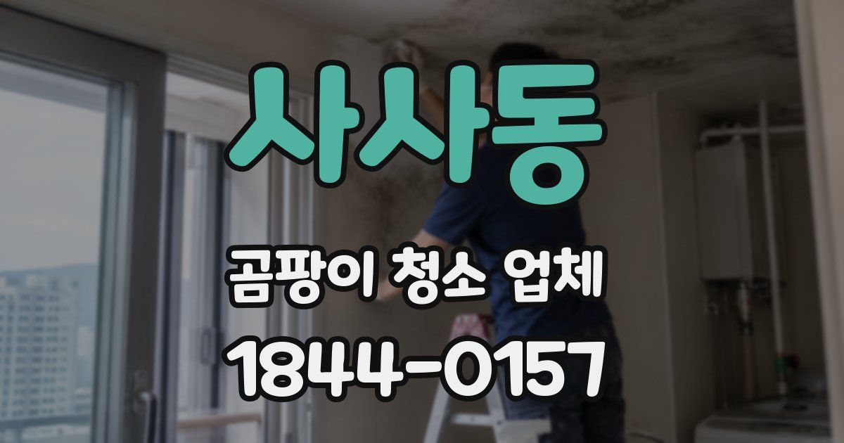 사사동 곰팡이 청소 업체