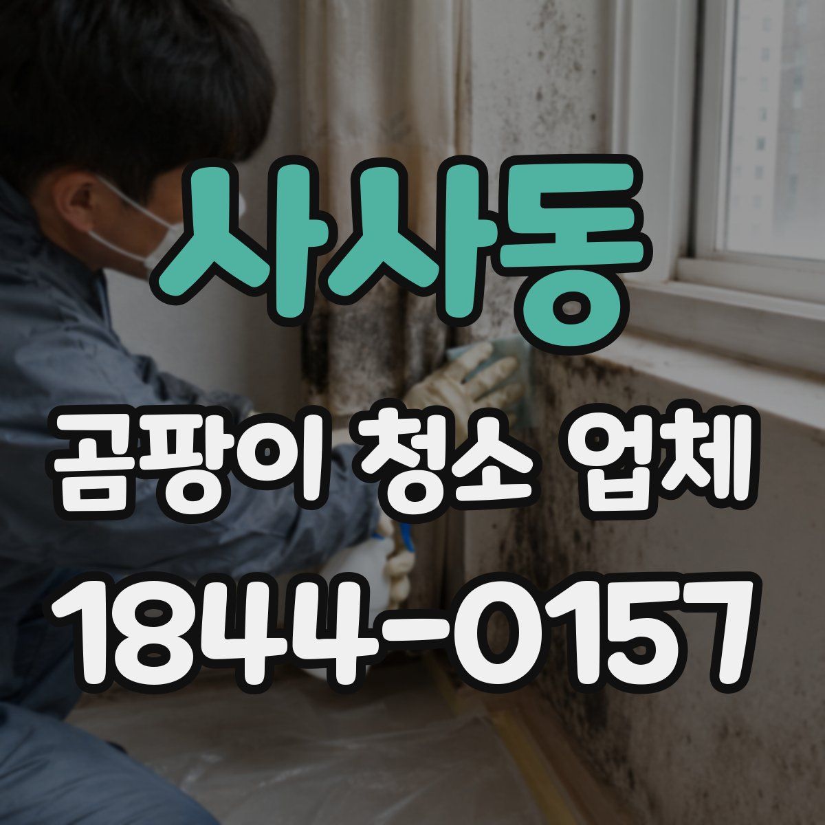 사사동 곰팡이 청소 업체