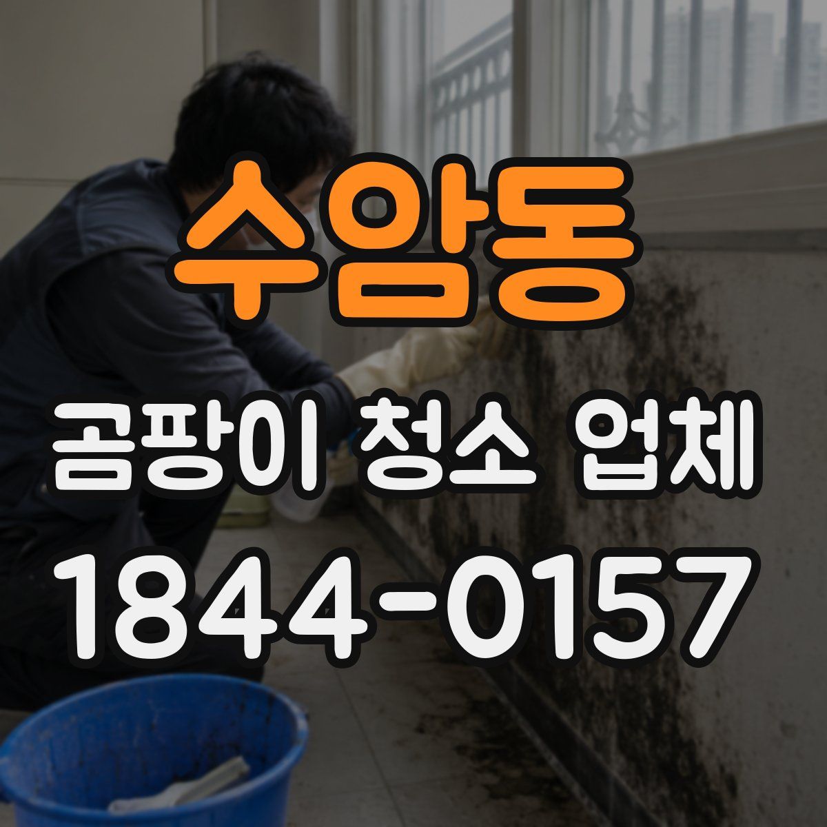 수암동 곰팡이 청소 업체