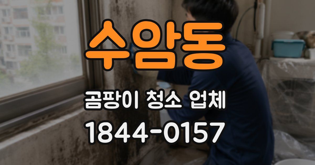 수암동 곰팡이 청소 업체