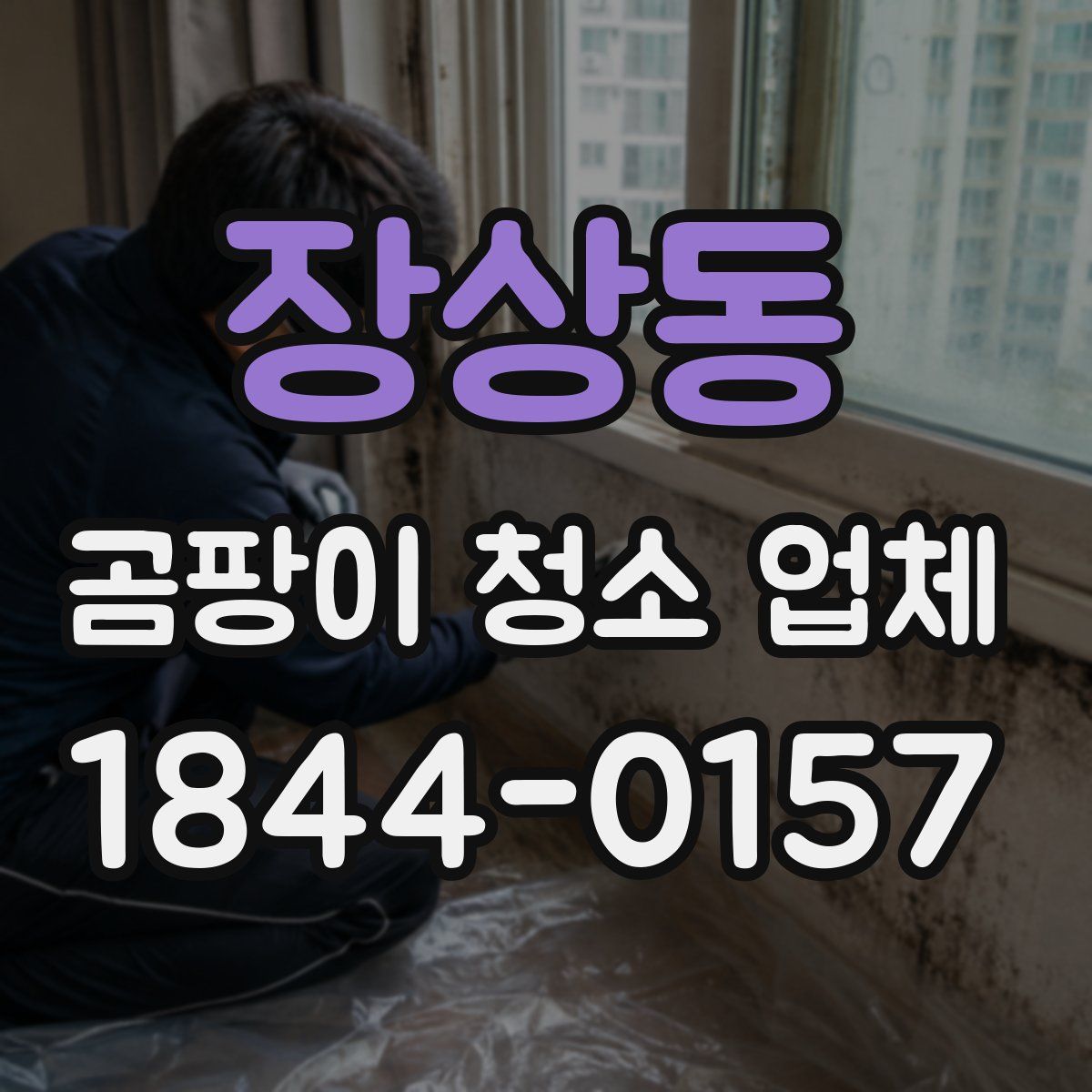 장상동 곰팡이 청소 업체