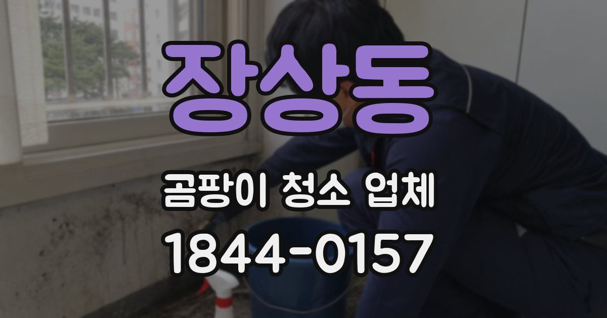 장상동 곰팡이 청소 업체