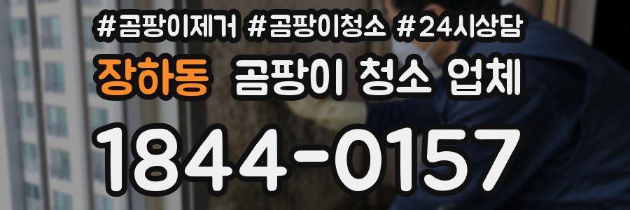 장하동 곰팡이 청소 업체