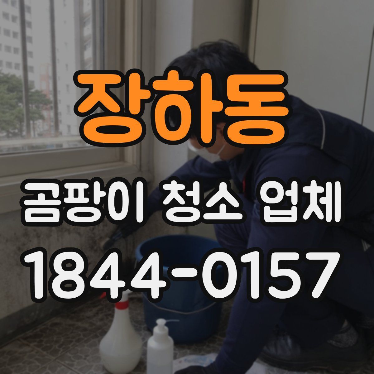 장하동 곰팡이 청소 업체