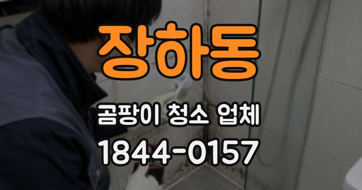 장하동 곰팡이 청소 업체