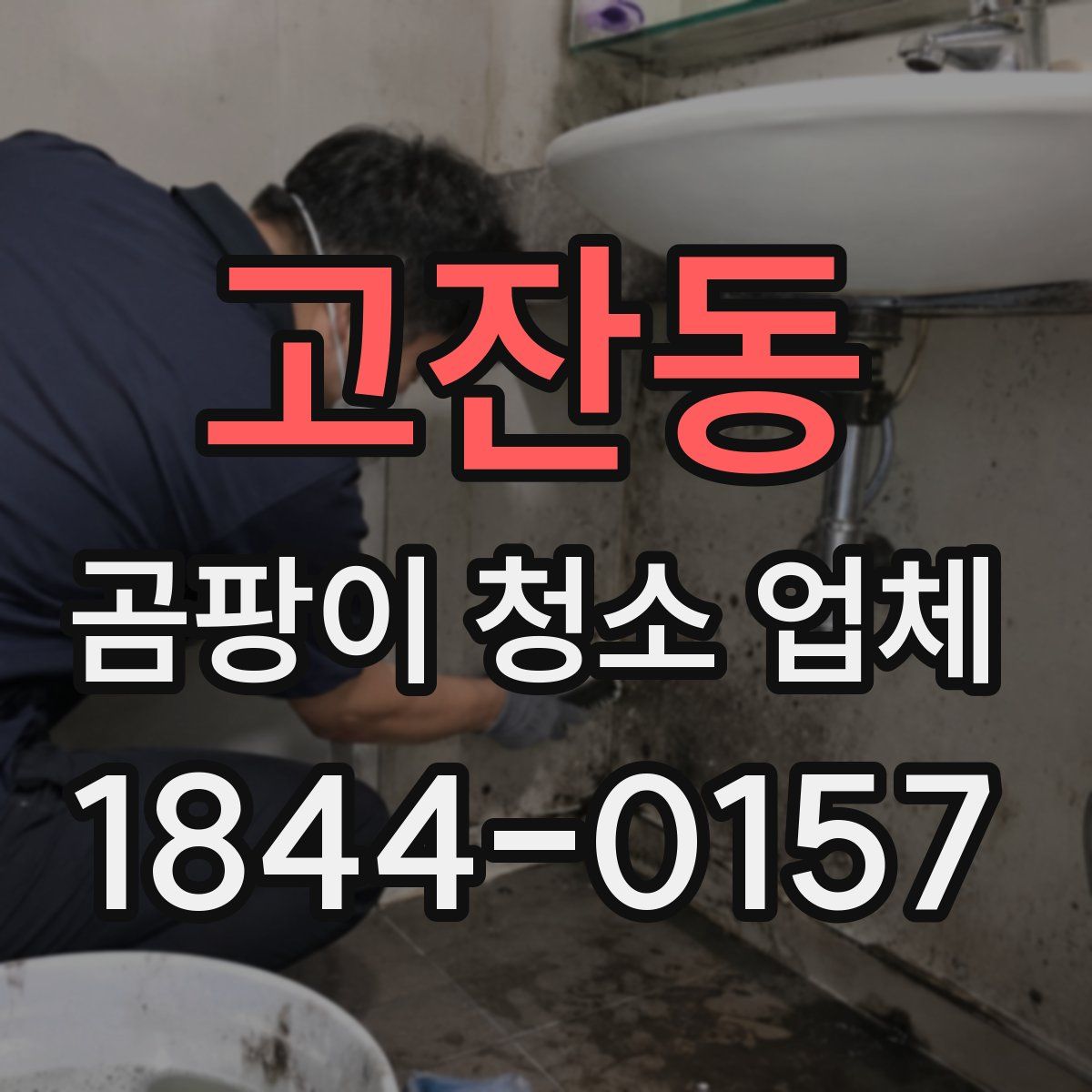 고잔동 곰팡이 청소 업체