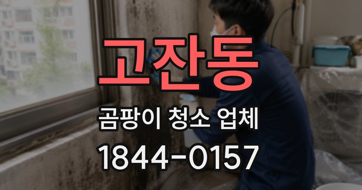 고잔동 곰팡이 청소 업체