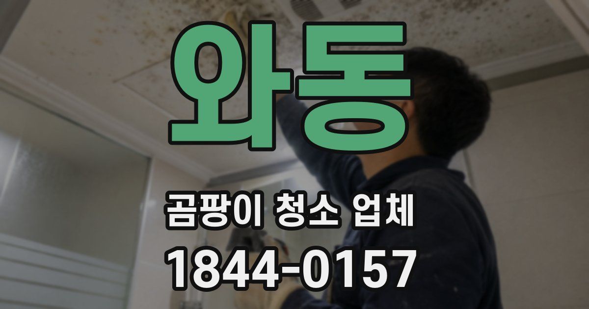 와동 곰팡이 청소 업체