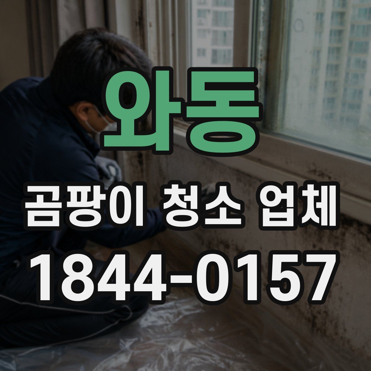 와동 곰팡이 청소 업체
