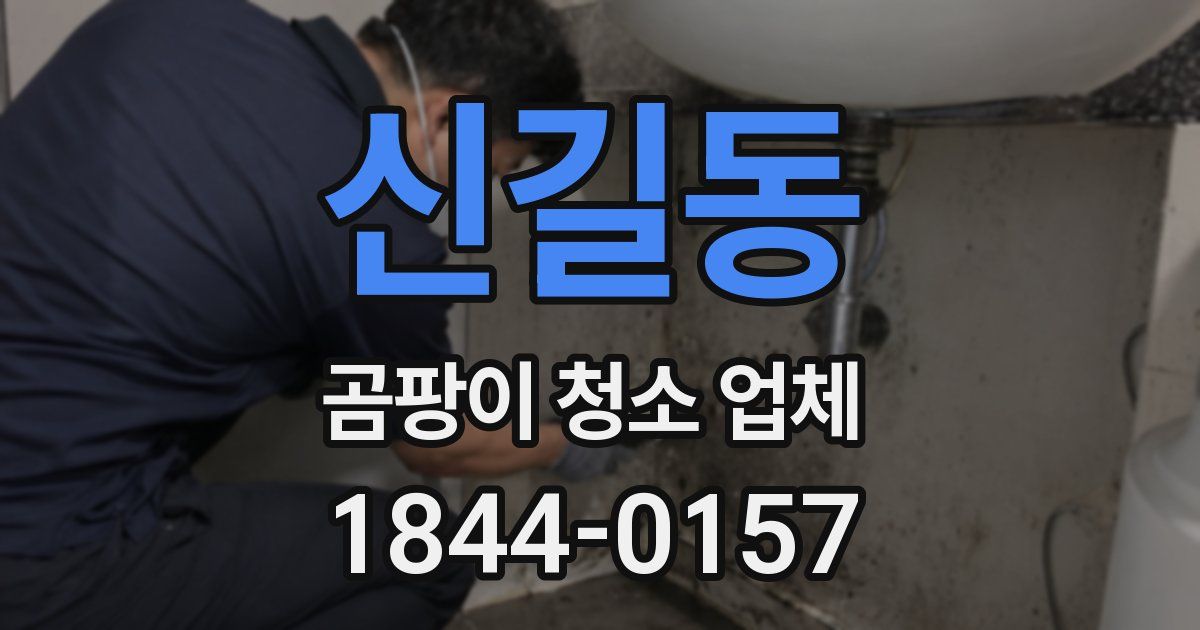 신길동 곰팡이 청소 업체