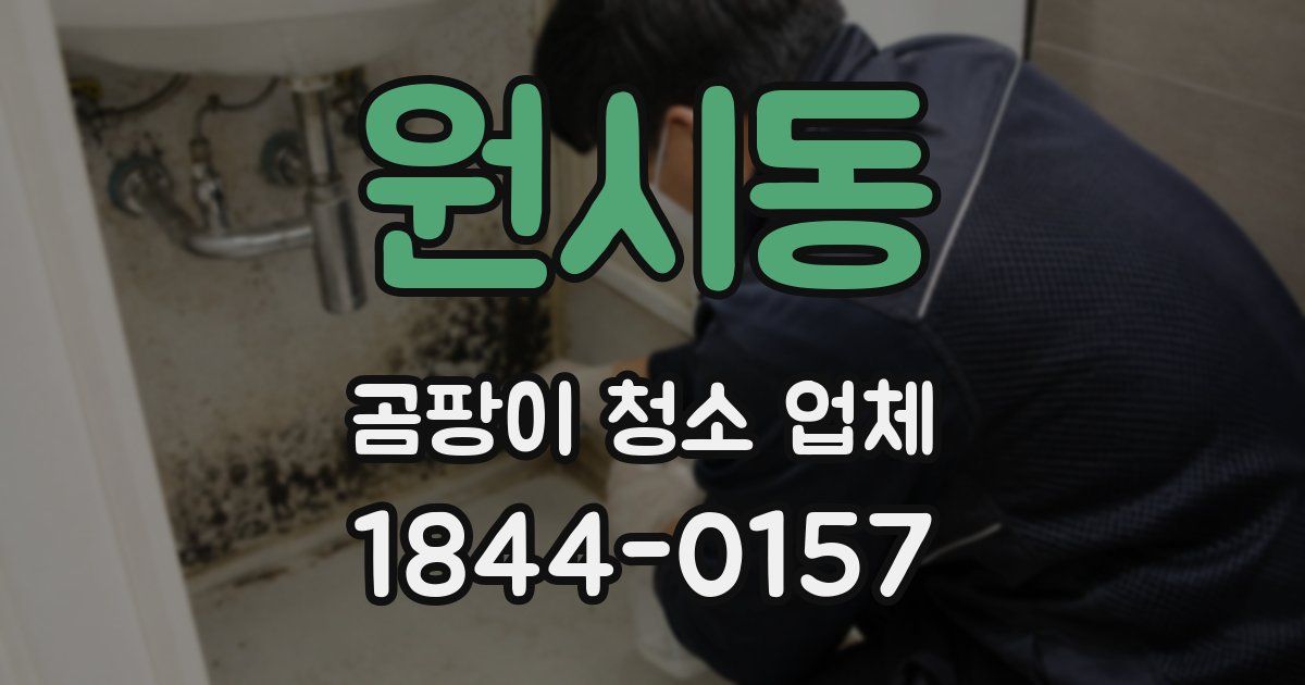 원시동 곰팡이 청소 업체