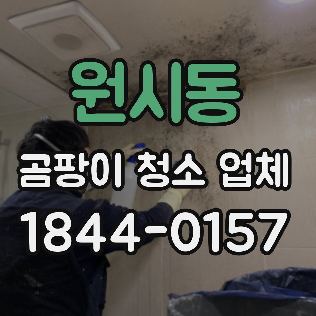 원시동 곰팡이 청소 업체