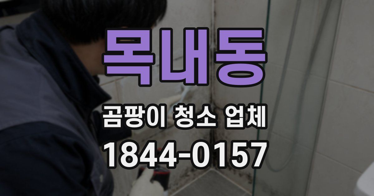 목내동 곰팡이 청소 업체