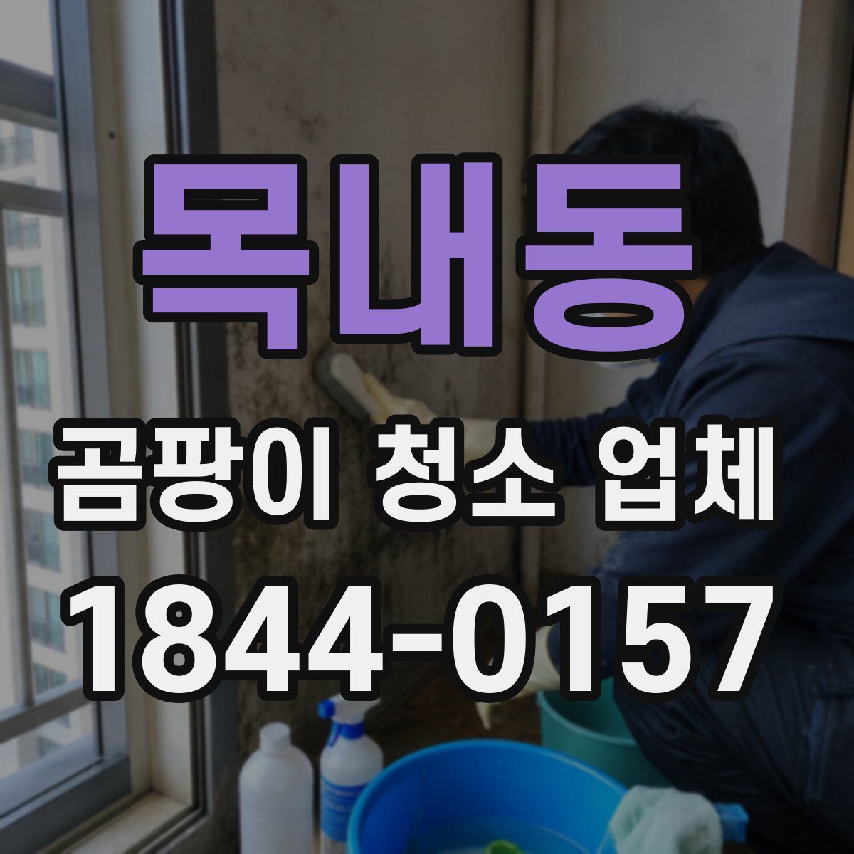 목내동 곰팡이 청소 업체