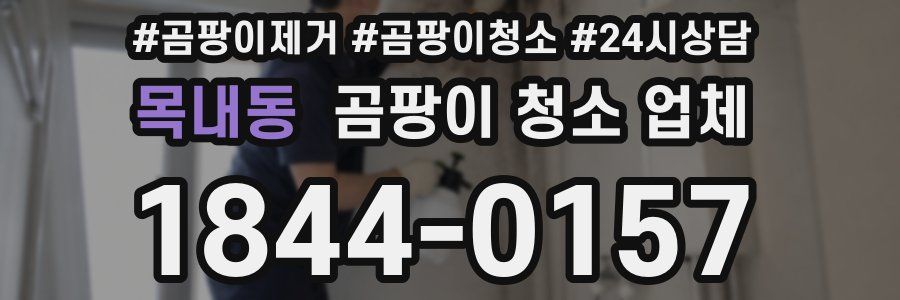 목내동 곰팡이 청소 업체