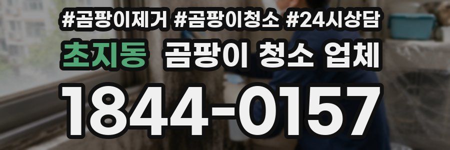 초지동 곰팡이 청소 업체