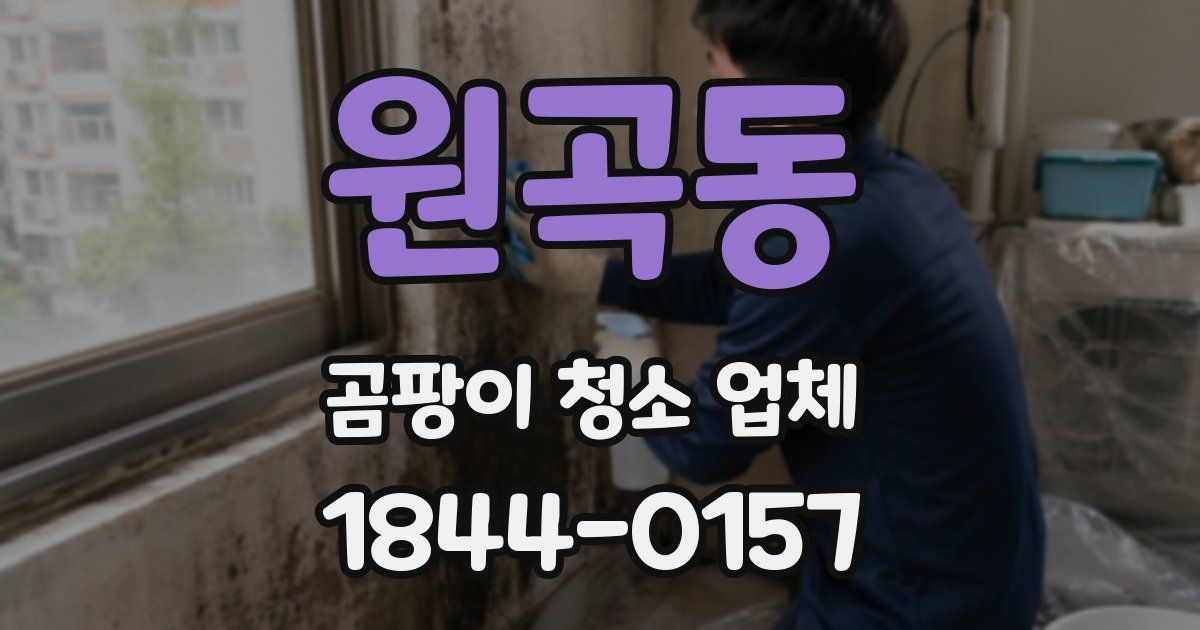 원곡동 곰팡이 청소 업체