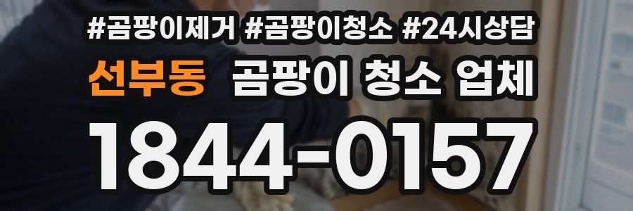 선부동 곰팡이 청소 업체