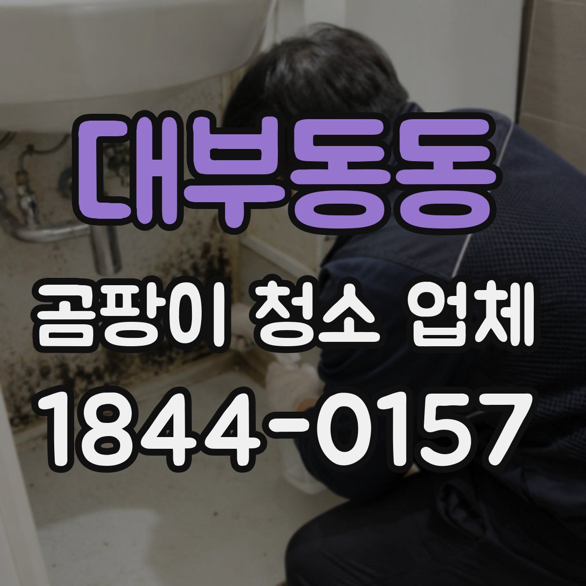대부동동 곰팡이 청소 업체