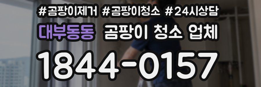 대부동동 곰팡이 청소 업체