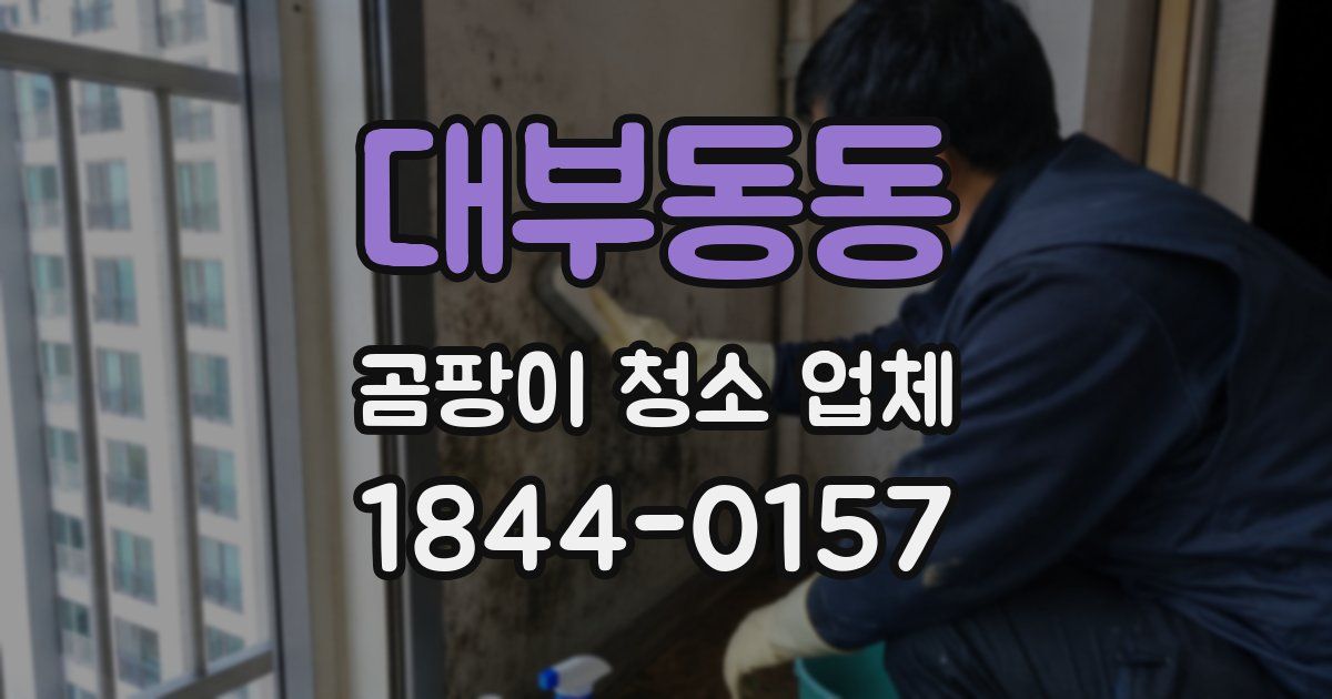 대부동동 곰팡이 청소 업체