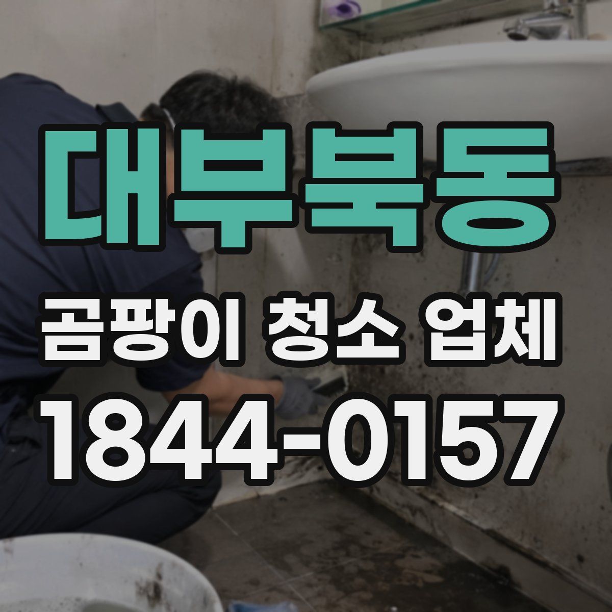 대부북동 곰팡이 청소 업체
