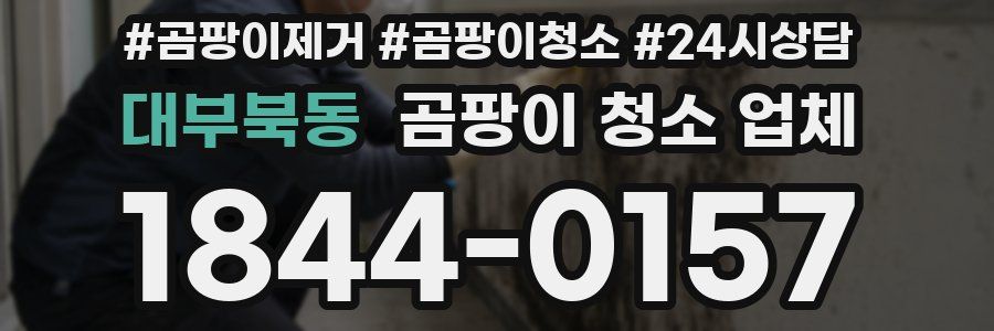 대부북동 곰팡이 청소 업체